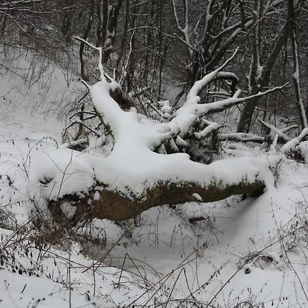 Ferienpark Winterberg Hotel 2*