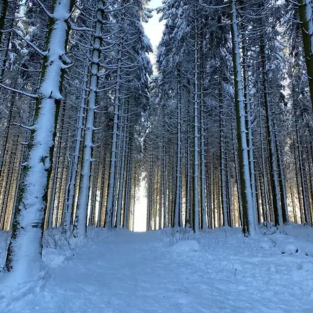 Hotel Ferienpark Winterberg Winterberg