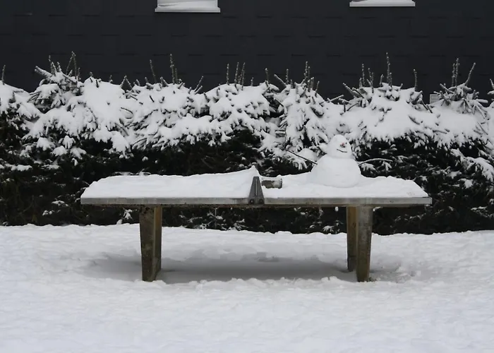 מלון Ferienpark Winterberg 2*