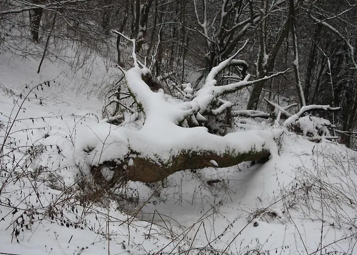 Ferienpark Winterberg Szálloda 2*